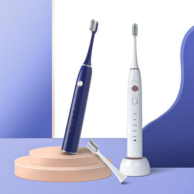 China OEM High Quality Battery Operated Rechargeable Ultrasonic Automatic Sonic Electric Toothbrush With Stand for sale