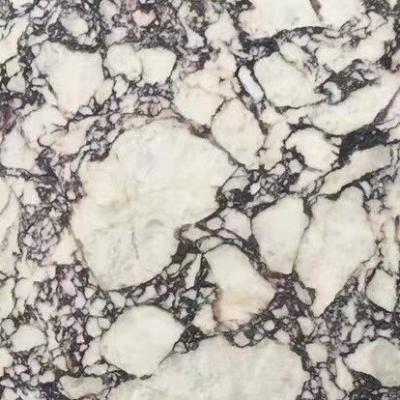 China Modern Breccia Capraia Marble Field Tile Polished 18