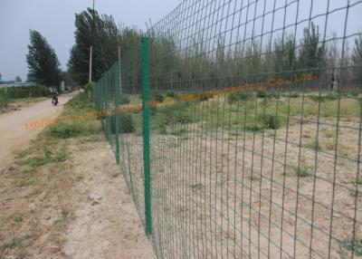 China Cerca galvanizada de grande resistência do elo de corrente, cerca revestida do elo de corrente do vinil provisório à venda