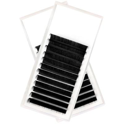 China Wholesale Siberian Mink Individual Volume Korean Silk Long Natural Private Label Eyelash Extension Lash Product Supply Brand Manufacturer for sale