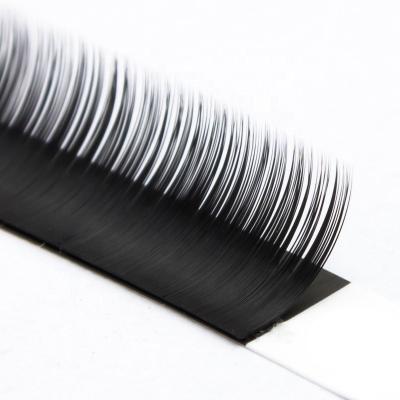 China Matte Dark Black Korean Silk Eyelash Extensions Volume Mink Private Label Long Cashmere Individual Wick Extensions Natural Premium for sale