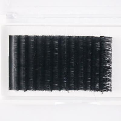 China Natural Korean Long Soft Hair 0.03 0.05 0.07 Faux Mink Eyelash Extension Lash Extension False Mink Fales Hair Extension for sale