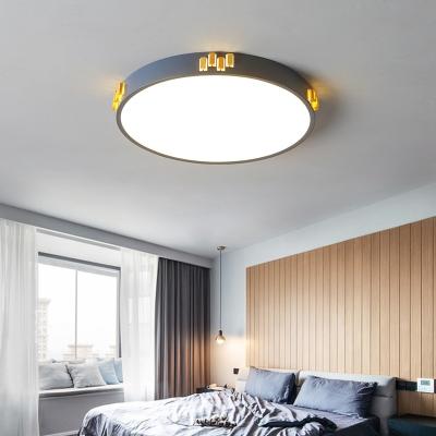 China Nordic Modern Bedroom Living Room Light Outdoor Ceiling Mounted Led Lamp Round Cover Body Green Black White Light for sale