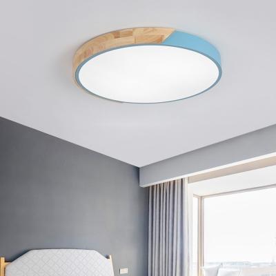 China New Design Dimmable 27W 48W Modern Smart Ceiling Light RGB LED Kitchen Body Bright Lamp Painting Wifi for sale