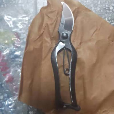 China Eco - Friendly Bonsai Garden Shears Available For Garden Trimming Pruner Tools for sale