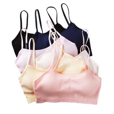 China Factory Price Student Cotton Girls QUICK DRY Sports Bra Comfortable Teen Training Model Bras for sale