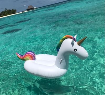 China Hot Selling Unicorn Air Filled Unicorn In Pool Above Size Pool Party Beach Rent Water Float Animal Toy for sale