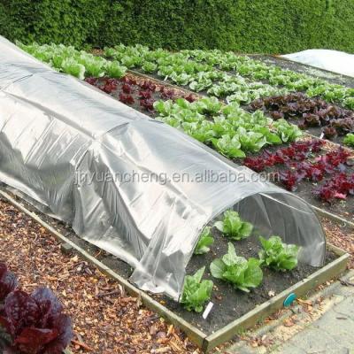 China Easily Assembled High Quality Best Shed Garden Tunnel s Greenhouse for sale