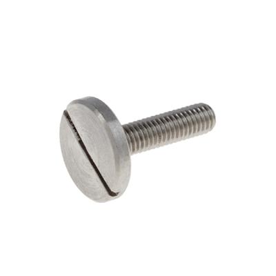 China Galvanized Carbon Slotted Pan M3-M6 316 Stainless Steel Pan Large Head Screw for sale