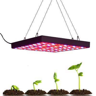 China Easy Install China Factory Price 30W RBW UV Grow Light Led Spectrum For Plants Dimmable Led Grow Light for sale