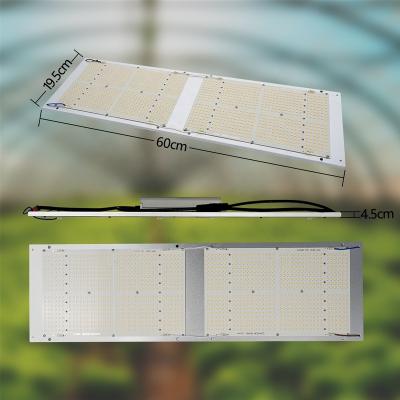 China Seed starting Dimmable lm301b led grow lights full spectrum samsun plant hydroponic sulight 240w led grow light board for sale