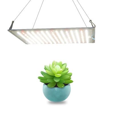 China Seed Starting China Top LED Plant Dimmable Grow Light Led Plant Lighting 120W 240W Commercial Horticulture Led Grow Light For Sale for sale