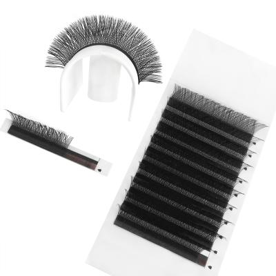 China Long Natural Yy Eyelash Extensions 0.07mm C Loop 9-14mm Buy Eyelash Extensions C D Curl, Different Yy Eyelashes for sale