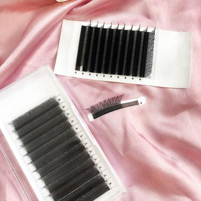 China Natural Custom Long Private Label Box 8-14mm Y Shape 4d Yy Lashes Lashes Eyelash Extension Volume Lash Extension For Makeup for sale