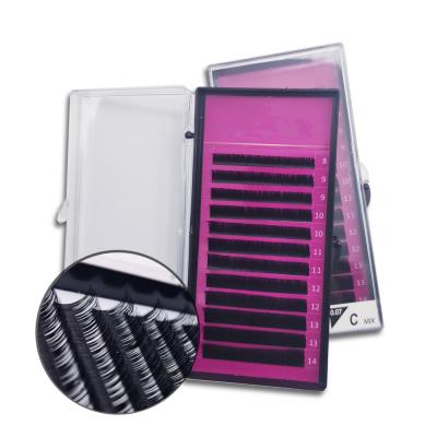 China Natural Soft Korean Silk Lashes Fanning Quickly Volume Blooming Lashes 2d 3d 4d Eyelash Extensions for sale