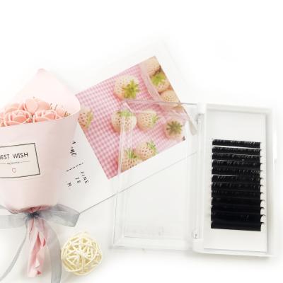 China Long Natural Dispenser Clean Brand Mega Volume Deep Black Eyelash Extensions Quickly Fan Fast Blooming Lashes Different Silk Lashes for sale