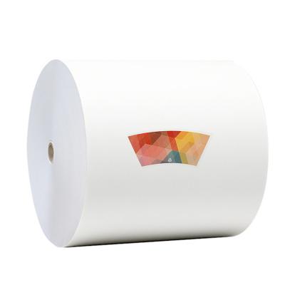 China Waterproof Custom Printed PLA Raw Material Coated Paper Roll For Food Grade Coffee Dishes Cup for sale