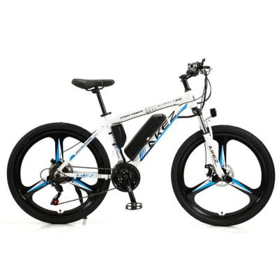 China Good Quality Cheap Hot Sale Aluminum Alloy Mountain Fat Tire Smart Brushless Controller Cycle Electric Bike for sale