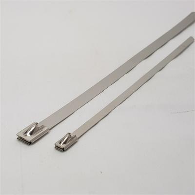 China OEM 8 Inch Stainless Steel Steel Cable Tie for sale