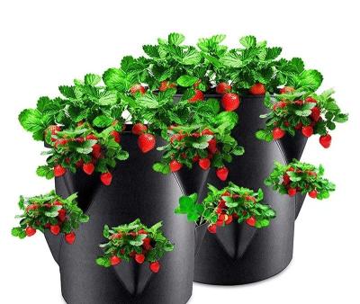 China New Eco-friendly Nonwoven Floral Planting Bucket Bag Floral Growing Black Porous Strawberry Felt Planting Bag for sale