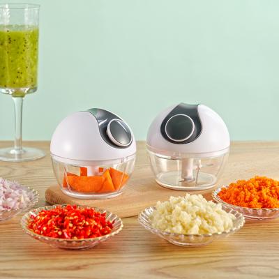 China New Product Sustainable Kitchen Tools Professional Veggie Chopper for sale