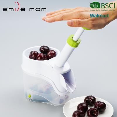 China Viable Kitchen Tools Quickly Remove Cherry Seed Cherry Pitter for sale