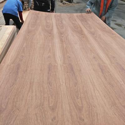 China Modern Plywood Panel Veneer Panel For Wall Covered Decorative And Cabinet for sale