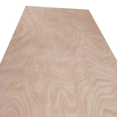 China Hotel Commercial 18mm Okoume Ply Wood / Plywood Supplier for sale