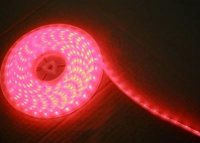 China 4.8W/M SMD 3528 Pixel RGB LED Flexible Strip Individually Controlled For Room Decor for sale