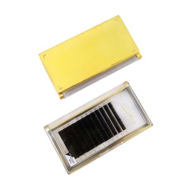 China Wholesale Dolovebeauty Eyelash Extensions Cruelty Free Factory Eyelash Extensions Flat Eclipse Custom Private Label and Package Box for sale