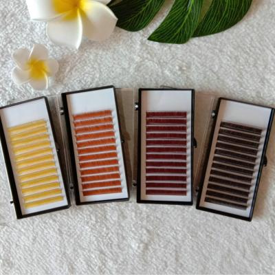 China Dolovebeauty Cruelty Free Wholesale Soft Silk Eyelash Extensions Mixed Color Eyelash Extensions for sale