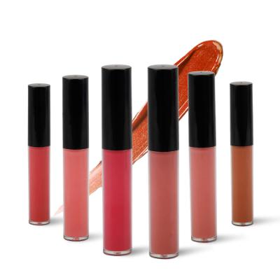 China Private Label Waterproof 3ml Waterproof Matte Lipgloss Pigments Nude Lip Plumper Gloss Custom Logo for sale