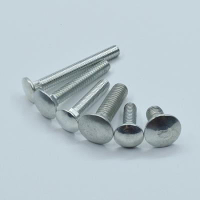 China Customization Stainless Steel Bolt Screw and Nut Carriage Bolt Stable Ground Fasteners for sale