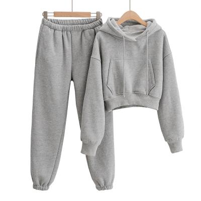 China Girls Kids Cotton Smart Casual Good Quality Empty Soft Pocket Kangaroo Long Sleeve Sweatpants And Hoodie Set For Little Girls Kids Custom for sale