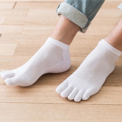 China QUICK DRY summer men's mesh casual cotton breathable five finger ankle yoga toe athletic socks for men en venta