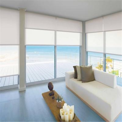 China ROMAN Fire Proof Fabric Blinds Day And Night Manual Double Roller Blinds for sale