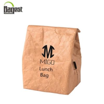 China Small Size Cheap Price Promotional Food Picnic Lunch Cooler TYVEK Paper Bag for sale