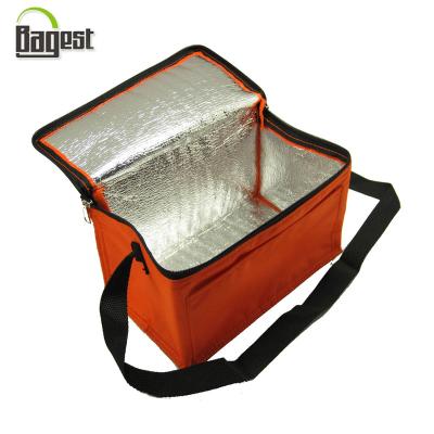 China Food Aluminum Foil Insulated Thermal Lunch Cooler Bag for sale