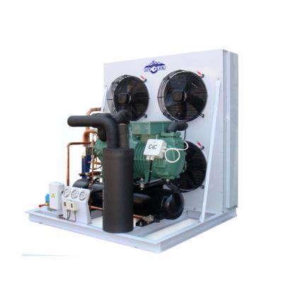 China Cold Storage Room Freezer Room Compressor Low Temperature Semi-Hermetic Cooling Condensing Unit For Cold Room for sale