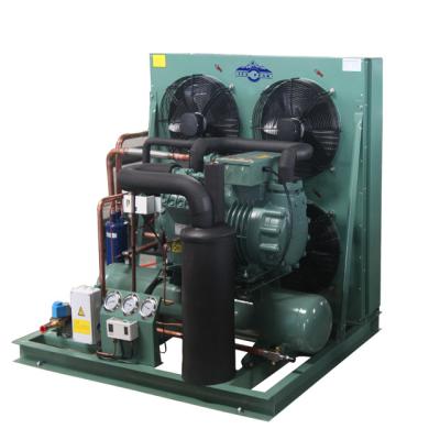 China Cold Storage Room Freezer Room Compressor Cooling Equipment Semi-Hermetic Condensing Unit For Cold Room for sale