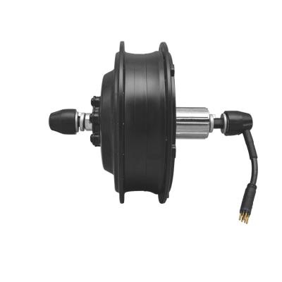 China Disc-Brake Finely Processed Electric Bicycle Hub Motor Conversion Kit Mtb Rear Drive Motor for sale