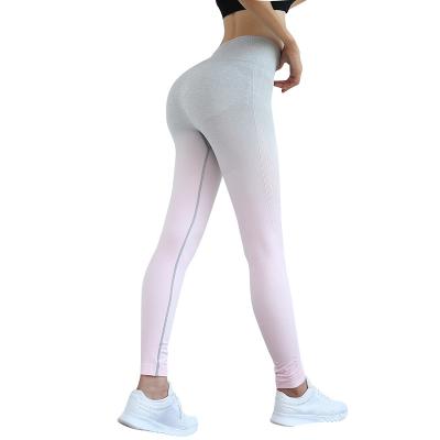 China High Wear Breathable Warm Waist Yoga Women Seamless Yoga Gaiters Pants for sale