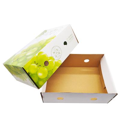 China Recyclable Custom Printing Corrugated Fruit Packaging Box Cardboard Cardboard Mailing Box For Grape for sale