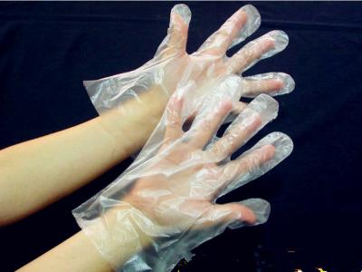 China Kitchen Premium Safety Transparent PE Disposable Plastic Gloves for sale