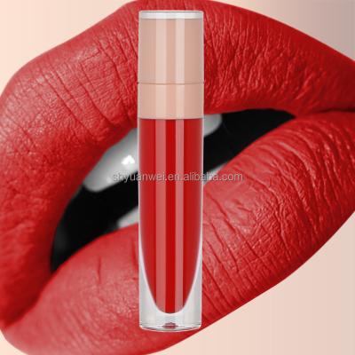 China Supplier RTS54 Wholesale Makeup Rouge Waterproof Lipstick No Labels Long Lasting Waterproof Liquid Lipstick for sale