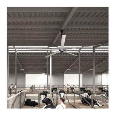 China Hotels Vindus Large Cattle Industrial HVLS Ceiling Fan for sale