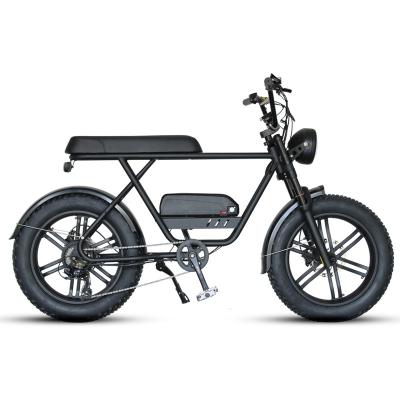 China 750w 1000w 48v Steel Lithium Battery Mountain Fat Tire Electric Dirt E Bike for sale