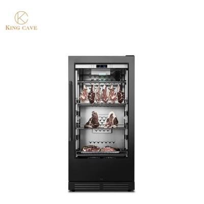 China Salami Ham Fish Beef  Dry Aged Refrigerator Dry Aged Machine for sale