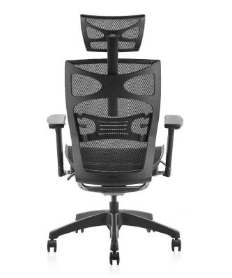 China (Height) BIFMA 4D Adjustable Ergonomic Office Chair For Staff for sale