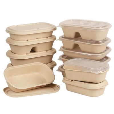 China Eco Friendly Greaseproof Microwavable Biodegradable Folding To Go Disposable Bagasse Food Container Biodegradable Paper Packaging for sale